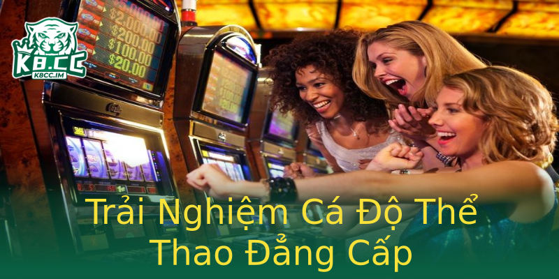 Trải Nghiệm Cá Độ Thể Thao Đẳng Cấp Trải Nghiệm Cá Độ Thể Thao Đẳng Cấp