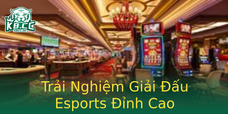 Trải Nghiệm Giải Đấu Esports Đỉnh Cao Trải Nghiệm Giải Đấu Esports Đỉnh Cao